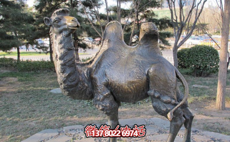 創意大型玻璃鋼駱駝雕塑，在草地上擺放，一眼回頭